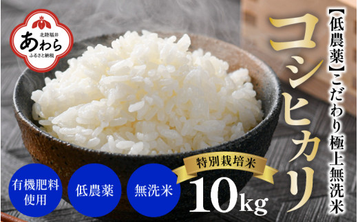 令和5年産】特別栽培米 コシヒカリ 10kg 無洗米 低農薬 《食味値85点 ...
