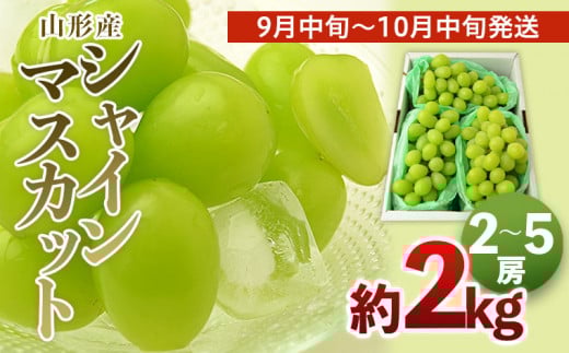 yR`R`szR`̃VC}XJbg Gi 2kg(2`5[)[9{`10{] yߘa8NYs\zFS24-642  ʕ t[c R` R` R`s 2026NY