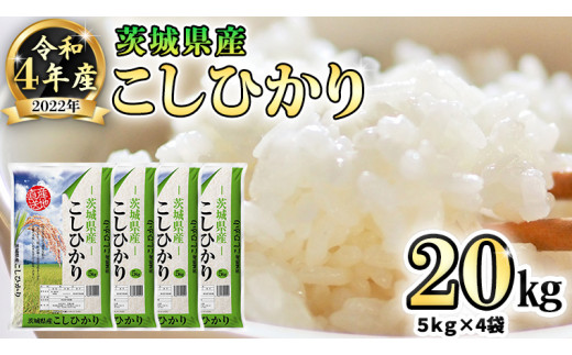 令和4年産米 茨城県産 コシヒカリ (精米) 20kg ( 5kg × 4袋) お米 米