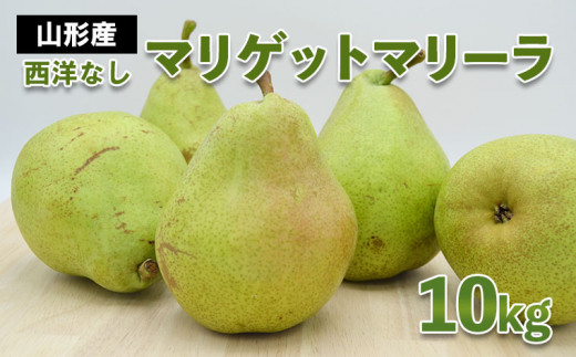 山形市産 西洋なし(マリゲットマリーラ) 秀 10kg(5kg×2) 14玉～30玉