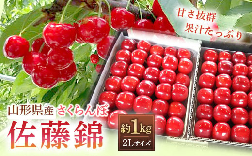 令和6年産先行予約】 さくらんぼ ｢佐藤錦｣ 約1kg (秀 2L以上) パック詰め 《令和6年6月発送》 『田口農園』 サクランボ 果物 フルーツ  産地直送 生産農家直送 山形県 南陽市 [1396] - 山形県南陽市｜ふるさとチョイス - ふるさと納税サイト