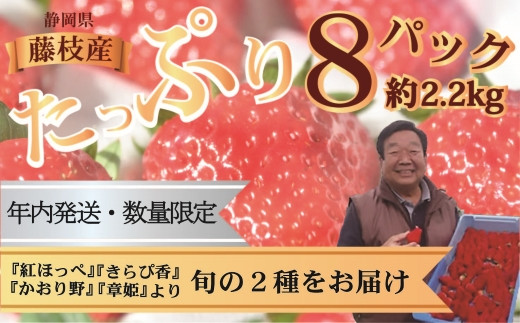 年内発送 数量限定 いちご 2種 2kg 以上 品種 おまかせ あきひめ 紅ほっぺ きらぴ香 フルーツ 果物 詰合せ 国産 ジャパンベリー 静岡県  藤枝市 ( 人気苺 ふるさと納税苺 ふるさと苺 furusato苺 おすすめ苺 送料無料苺 静岡県 藤枝市 ) - 静岡県藤枝市｜ふるさとチョイス  ...