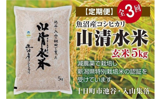 令和5年産 島根県雲南市 プレミアムつや姫『たたら焔米』5kg送料無料（一部地域）国内線ファーストクラスの機内食にも使われるほど上質なお米と評価を受けています