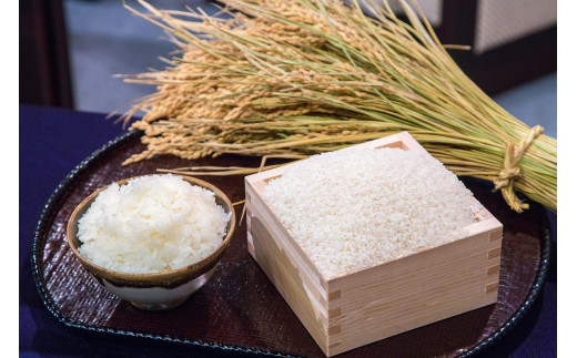 福井県のお礼の品情報 ふるさとチョイス ふるさと納税サイト