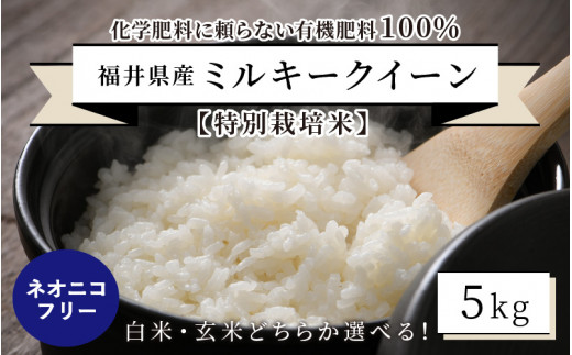 令和4年産】【特別栽培米】福井県産 ミルキークイーン 5kg ～化学肥料