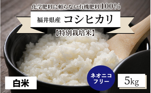 先行予約】【令和6年産・新米】【特別栽培米】福井県産 コシヒカリ 5kg ～化学肥料にたよらない 有機肥料100%～ ネオニコフリー（白米）【2024年10月上旬以降順次発送予定】  [A-13403_01] - 福井県坂井市｜ふるさとチョイス - ふるさと納税サイト