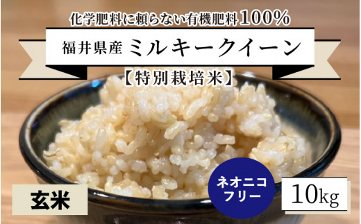 令和5年度産新米】【特別栽培米】福井県産 ミルキークイーン 10kg