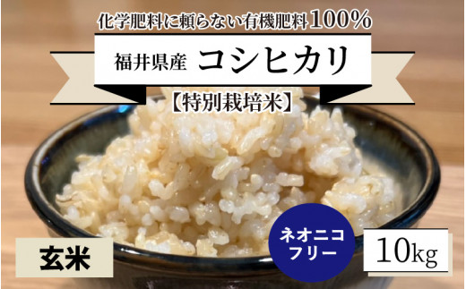 令和5年産】【特別栽培米】福井県産 コシヒカリ 10kg ～化学肥料に