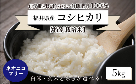 令和3年産　新米コシヒカリ30kg 福井県産　低農薬