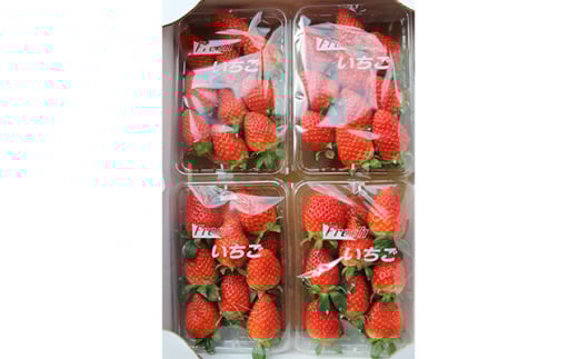 yL|cz2Gߌ聄VN̂!|cYuv (280g×4pbN)y1029483z