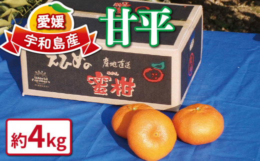 甘平 4kg ワールドファーマーズ 高級 希少 限定 品種 甘い