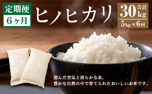6ヶ月定期便】 大分県産 ヒノヒカリ 5kg 計30kg - 大分県竹田市 