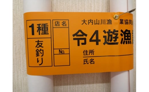 鮎 遊漁券 年券 1種／大内山川漁業協同組合 釣り 友釣り 川釣り アウトドア 大紀ブランド 三重県 大紀町 - 三重県大紀町｜ふるさとチョイス -  ふるさと納税サイト