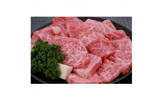 ふるさと納税 新温泉町 但馬牛焼肉セット【500g】-