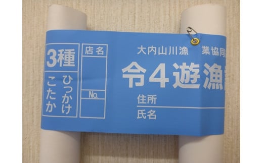 鮎 遊漁券 年券 3種／大内山川漁業協同組合 釣り ひっかけ こたか 川釣り アウトドア 大紀ブランド 三重県 大紀町 - 三重県大紀町｜ふるさとチョイス  - ふるさと納税サイト