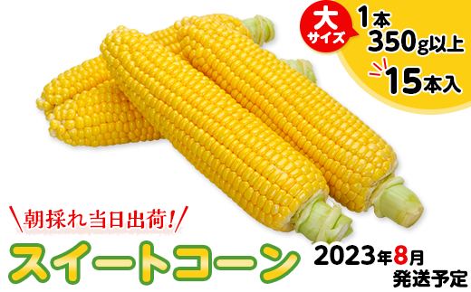 2004スイートコーン大サイズ(1本350g以上)15本入【朝採れ当日