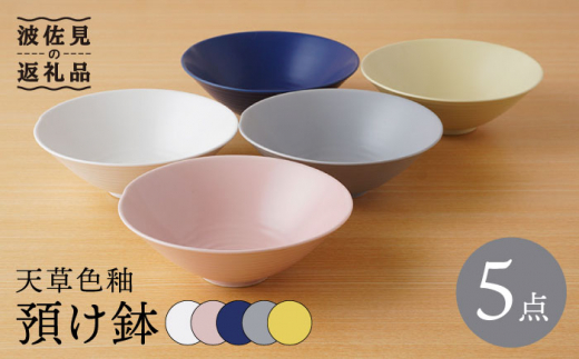 陶器鉢セット 盆栽鉢 植木鉢 「瀬戸焼文山窯絵付小鉢12点セット」 絵鉢 絵付鉢 2号