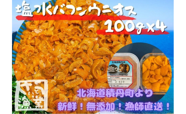 北海道美国産 塩水カップ生ウニ4個セット | signalstationpizza.com