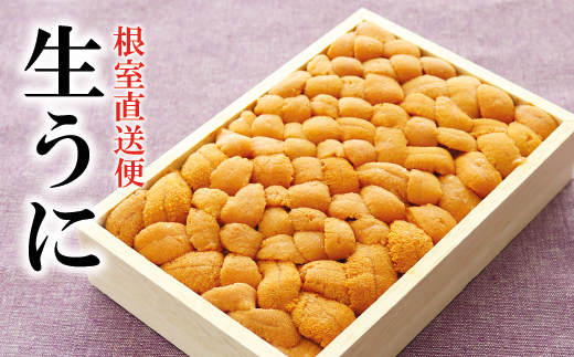 【北海道根室市】F-40007【12/14まで年内配送】 エゾバフンウニ250g×1折