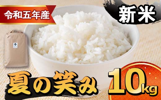 T-B1 ＜令和5年産＞宮崎県串間市産 超早場米「夏の笑み」(計10kg