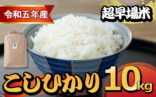 T-B1 ＜令和5年産＞宮崎県串間市産 超早場米「夏の笑み」(計10kg・5kg