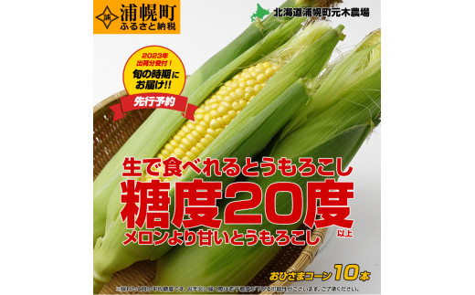 【2023年出荷分 先行予約】とうもろこし10本 おひさまコーン 元木農場 北海道浦幌町産 生でも食べられる糖度20度以上 朝もぎたてとうもろこし  旬の時期にお届け【2023年9月上旬より順次配送】