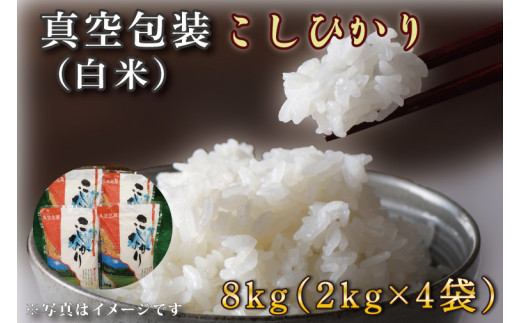 y錧ssz^R7NYЂ 8kg(2kg×4)yāzb   RVqJ Ђ ^ ^  lC  錧 ss (CZ-8-2)