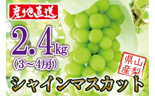 【11月より値上げ予定】【2024収穫分先行予約】鮮度抜群！産地直送シャインマスカット3～4房(約2.4kg）