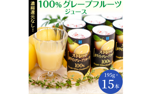 除菌アルコールスプレー ミクロキラー(100ml×4本セット) - 千葉県