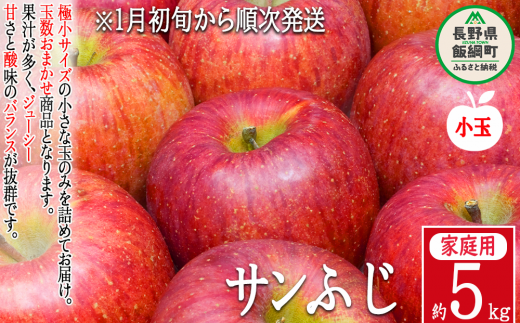 りんご ５Kg サンふじ 小玉 家庭用 １月発送 長野県産 農家応援企画