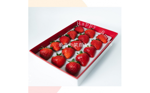 宮城県山元町産いちご 笑顔の源 福笑い(510g)【1356524】 - 宮城県山