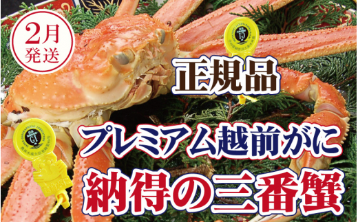【福井県越前町】越前がに × 1杯(三番蟹)桐箱入り!納得のプレミアム越前がに【雄 ズワイガニ かに カニ 蟹 姿 生 ボイル 冷蔵 福井県】【2月発送分】【生でお届け】希望日指定可 備考欄