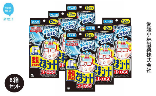 冷凍庫用熱さまシートストロング 大人用 12枚×6箱セット【愛媛