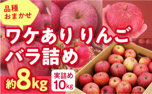 先行予約 2025年度発送》品種おまかせワケありりんごバラ詰め8kg