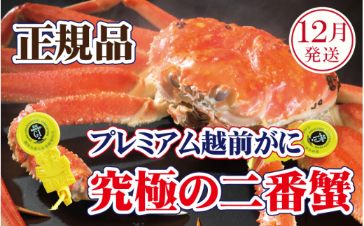 y䌧zOzzO × 1tiԊIj˔Iɂ̃v~AzOɁyY YCKj  Jj I p  {C ① 䌧zy12zyl䥂ł͂z]w 