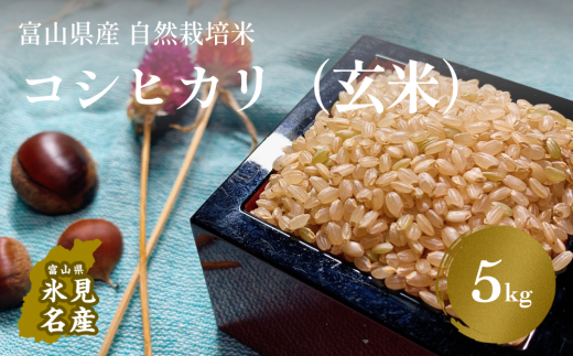 yxRXszāߘa7NYxRYR͔|ăRVqJ5kg  xR Xs R͔| Ђ 