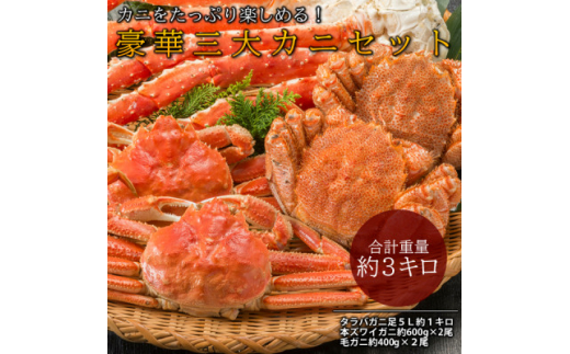 ふるさと納税「カニ 姿 3kg」の人気返礼品・お礼品比較 - 価格.com