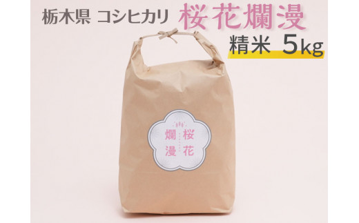 栃木県コシヒカリ 「桜花爛漫」 精米 5kg 【ご飯 お米 コメ コシヒカリ 白米 栃木県産 さくら市産】※北海道・沖縄・離島への配送不可※着日指定不可