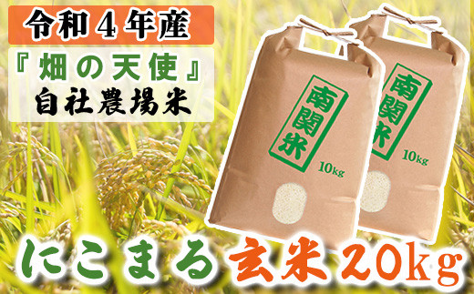 K05-10 ベストファーマー『畑の天使』にこまる 玄米20kg - 熊本県南関