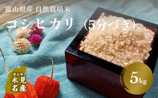 （５分づき）令和5年産 富山県産 自然栽培米 コシヒカリ５kg 富山県 氷見市 自然栽培 こしひかり 5分付き