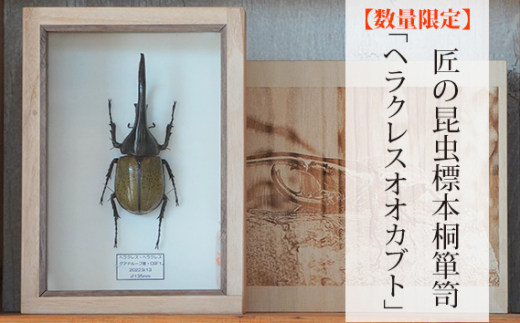 No.577 【数量限定】匠の昆虫標本桐箪笥「ヘラクレスオオカブト