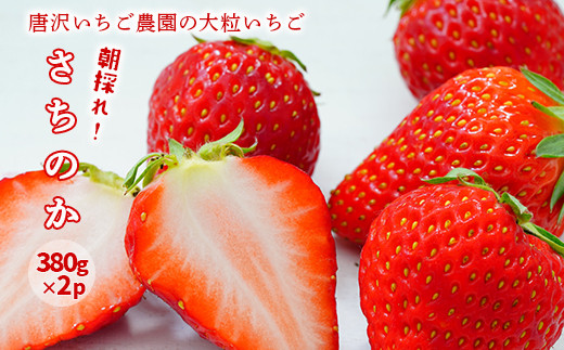 先行予約 唐沢さんちの大粒いちご さちのか 朝採り 380g 2パック 岩手県一関市 ふるさとチョイス ふるさと納税サイト