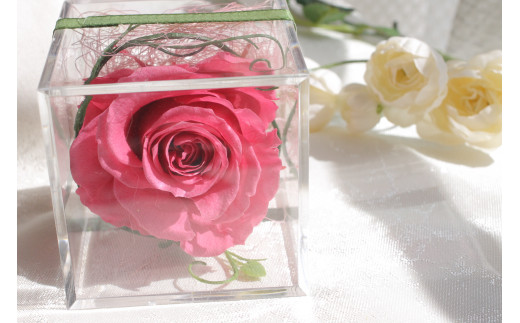 ブリザーブドフラワー 薔薇 100輪 プリザーブドフラワー バラ一輪(りん) リザーブド 薔薇 ばら シンプル