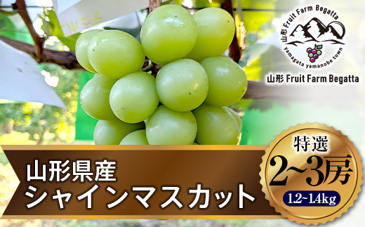 先行予約》2023年 山形県山辺町産 特選シャインマスカット 2～3房