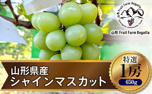 先行予約》2023年 山形県山辺町産 特選シャインマスカット 1房（約650g