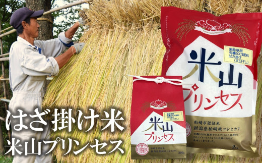 【令和5年産米】上野さんちの有機100％肥料で栽培・はざ掛け（天日干し）新潟産最上級コシヒカリ「米山プリンセス」白米  2.3kg（2kg×1袋、300g×1袋）[ZB315]