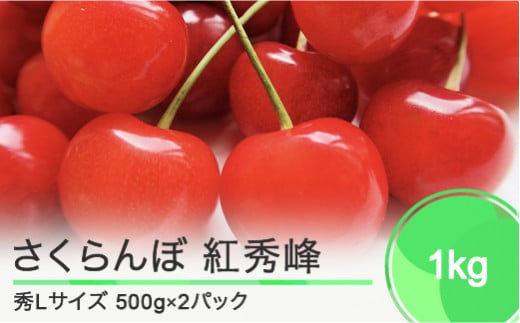 さくらんぼ 紅秀峰 秀Lサイズ 1㎏ バラ詰め 化粧箱 (500g×2) 2024年産 令和6年産 山形県産 ns-bsslb1