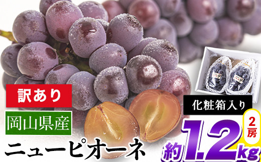 25. 【先行予約】 訳あり ニューピオーネ 約1.2kg 2房《2024年9月中旬