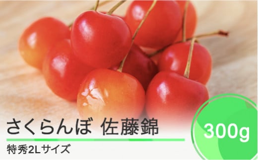 先行予約 さくらんぼ 佐藤錦 特秀2Lサイズ プレゼント ギフト 化粧箱入 300g 2025年産 令和7年産 山形県産 ns-snt2x300 -  山形県大石田町｜ふるさとチョイス - ふるさと納税サイト