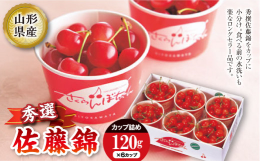 先行予約 2024年度発送》佐藤錦のさくらんぼちゃん 120g×6カップ FSY 